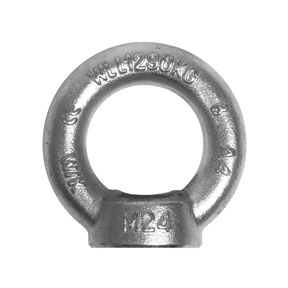 Stainless steel lifting eye nut DIN 582