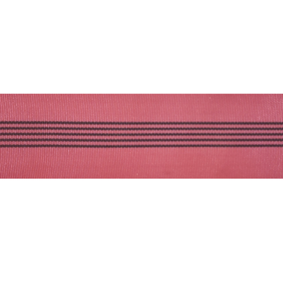 Double Sleeeve for Roundslings