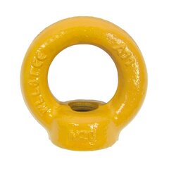 Lifting Eye Nut NS8M, grade 80