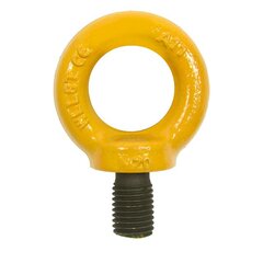 Lifting Eye Screw NS8R