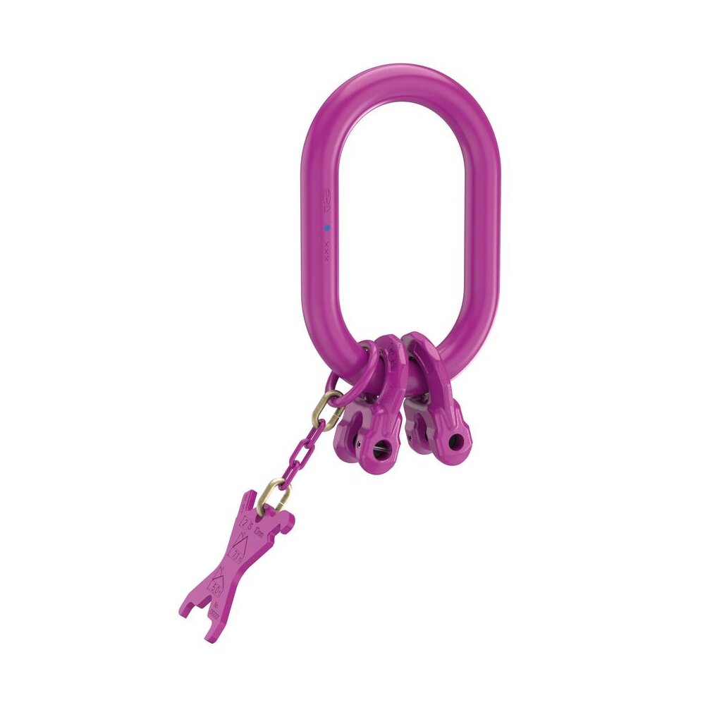 Master Link 2-legs with connector IRG - ICE